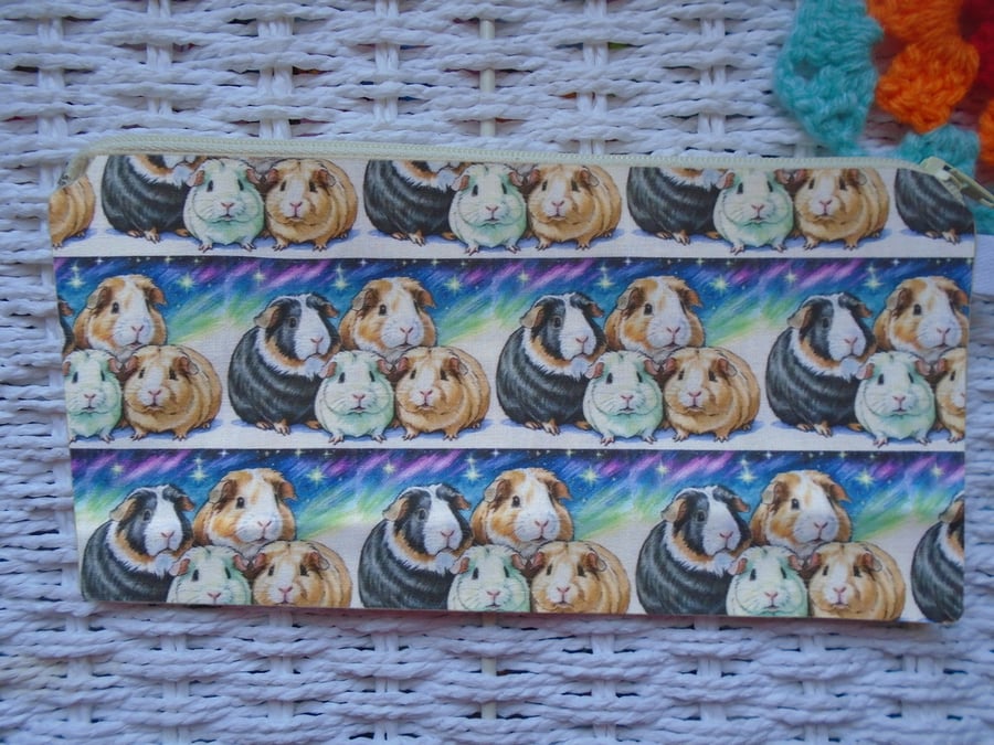 Northern Lights Guinea Pencil Case or Small Make Up Bag 