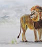 Lion original painting - Image 6