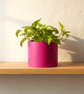 Large 15 cm Handmade Magenta Pink Plant Pot for Indoor Houseplants