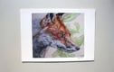 Fine Art Prints
