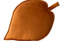 Leaf Cushion