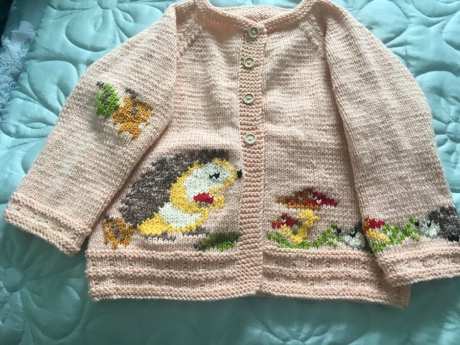 The Hedgehog Cardigan Age 2-3 years.