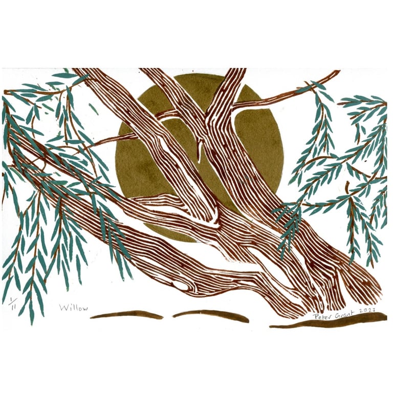 Linocut print of a Hundred year old Willow Tree limited edition hand printed