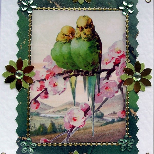 Budgie Bird - Hand Crafted Decoupage Card - Blank for any Occasion (2708)