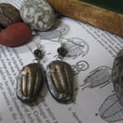 Trilobite Fossil Drop Polymer Clay Earrings, Bronze Pewter Clay Geology Earrings