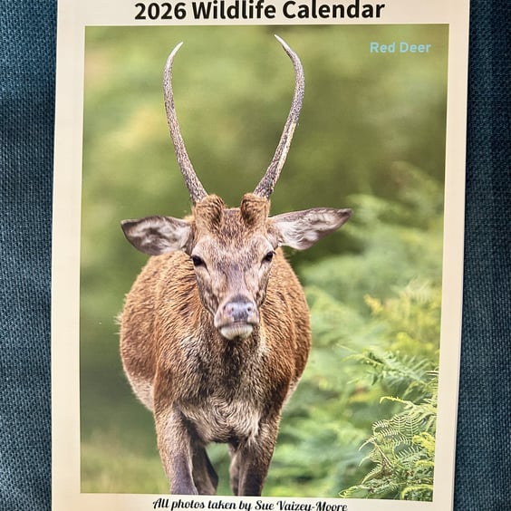2026 Wall Calendar with Original Photos of Wildlife