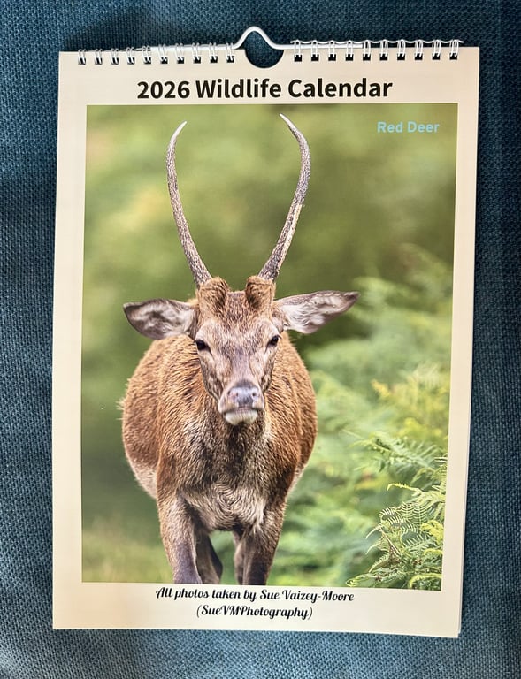 2026 Wall Calendar with Original Photos of Wildlife