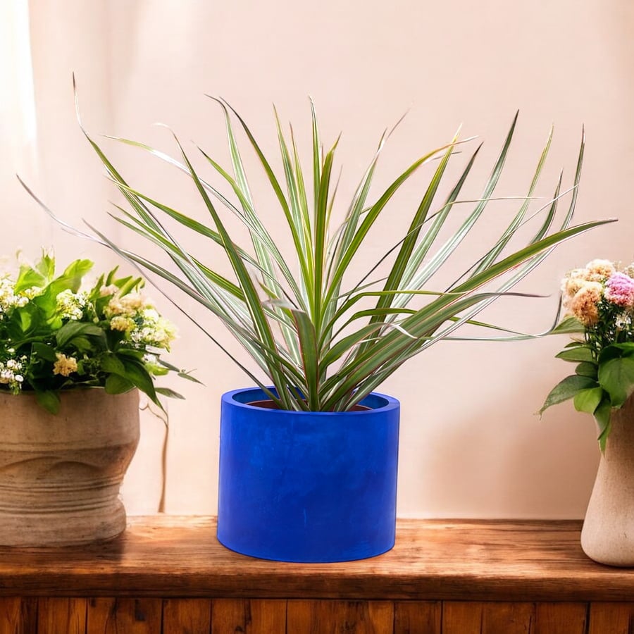 Large Prussian Blue Round Plant Pot Holder (LPP41 LPP45)