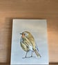 Robin Original Coloured Pencil Drawing  - Image 2