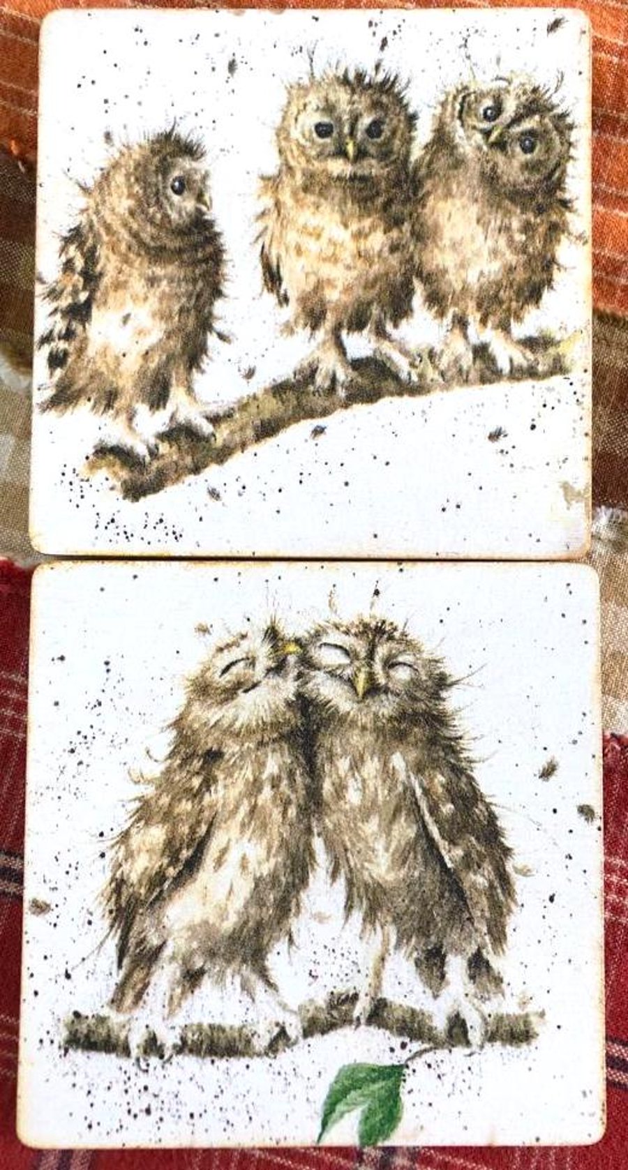 Cute Owl Coasters Set of 2