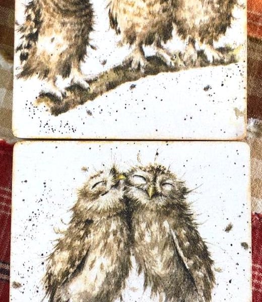 Cute Owl Coasters Set of 2