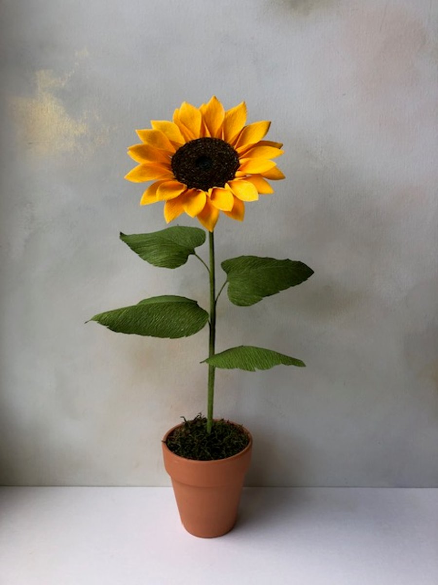 Paper sunflower plant