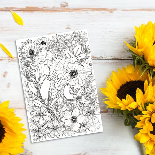 Birds & Butterflies Printable Colouring Page Set PDF Digital Product