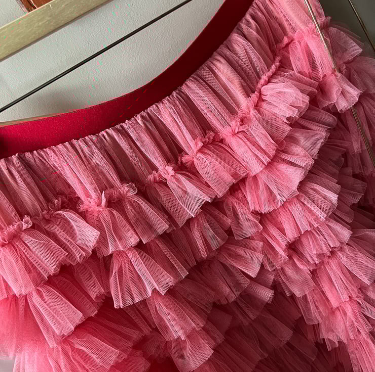 Pink Tulle Skirt . Tulle Skirt . Statement Ski Folksy