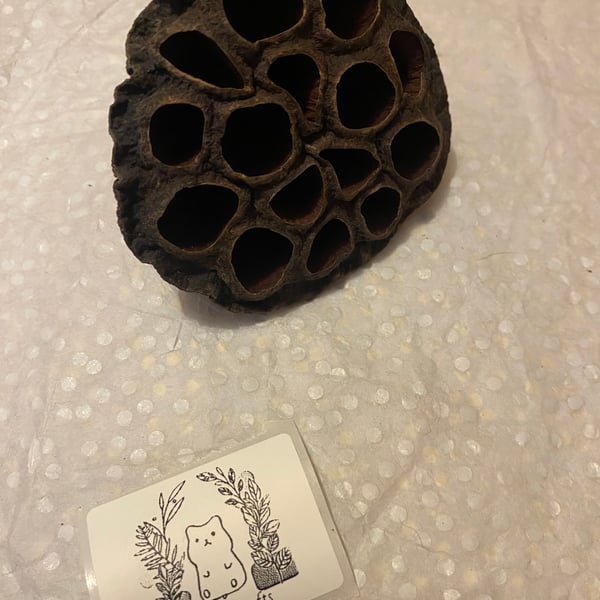 Small animal toy 
