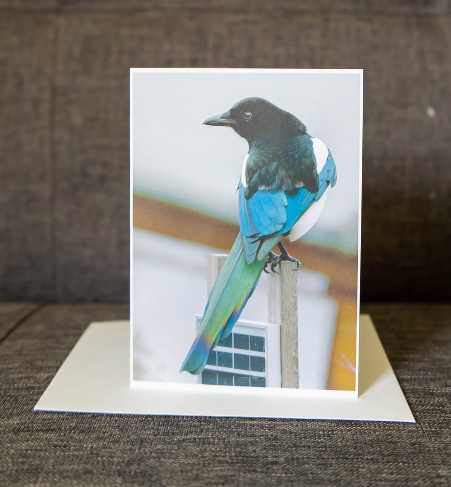 Magpie on Fence Ethically Made Photo Card