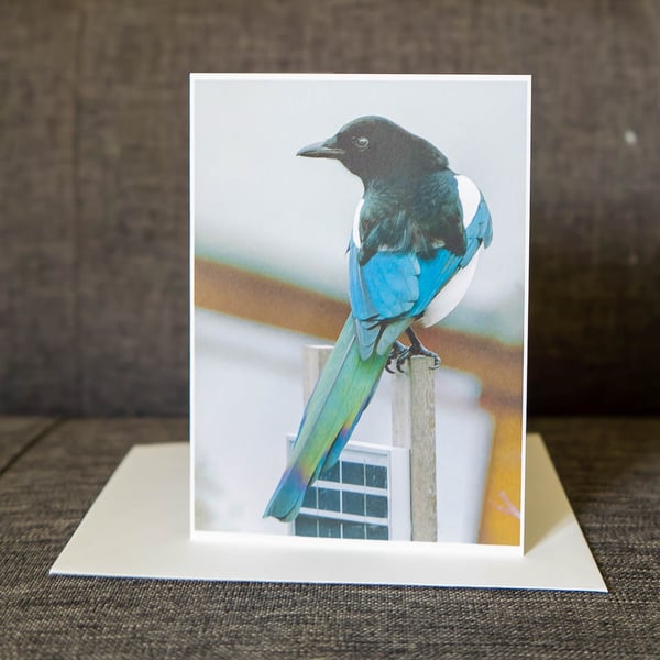 Magpie on Fence Ethically Made Photo Card