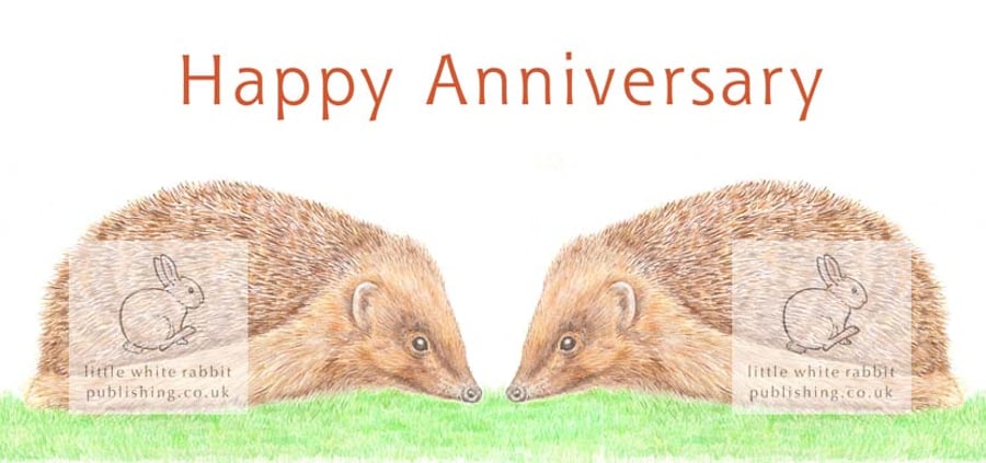 Hedgehog -  Anniversary Card