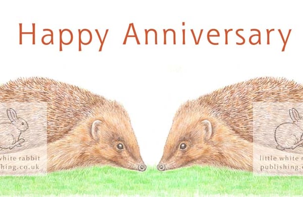 Hedgehog -  Anniversary Card