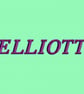 Custom PE Bag for Allison - Image 1