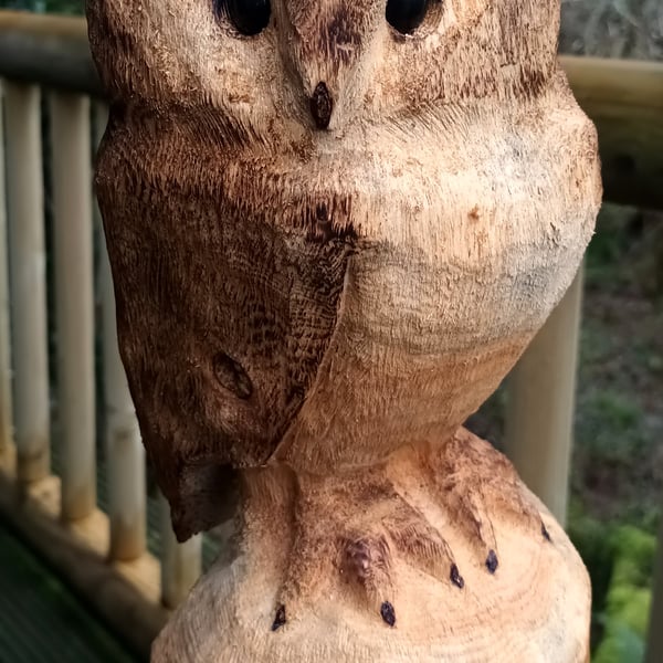 Scots Pine Owl Carving