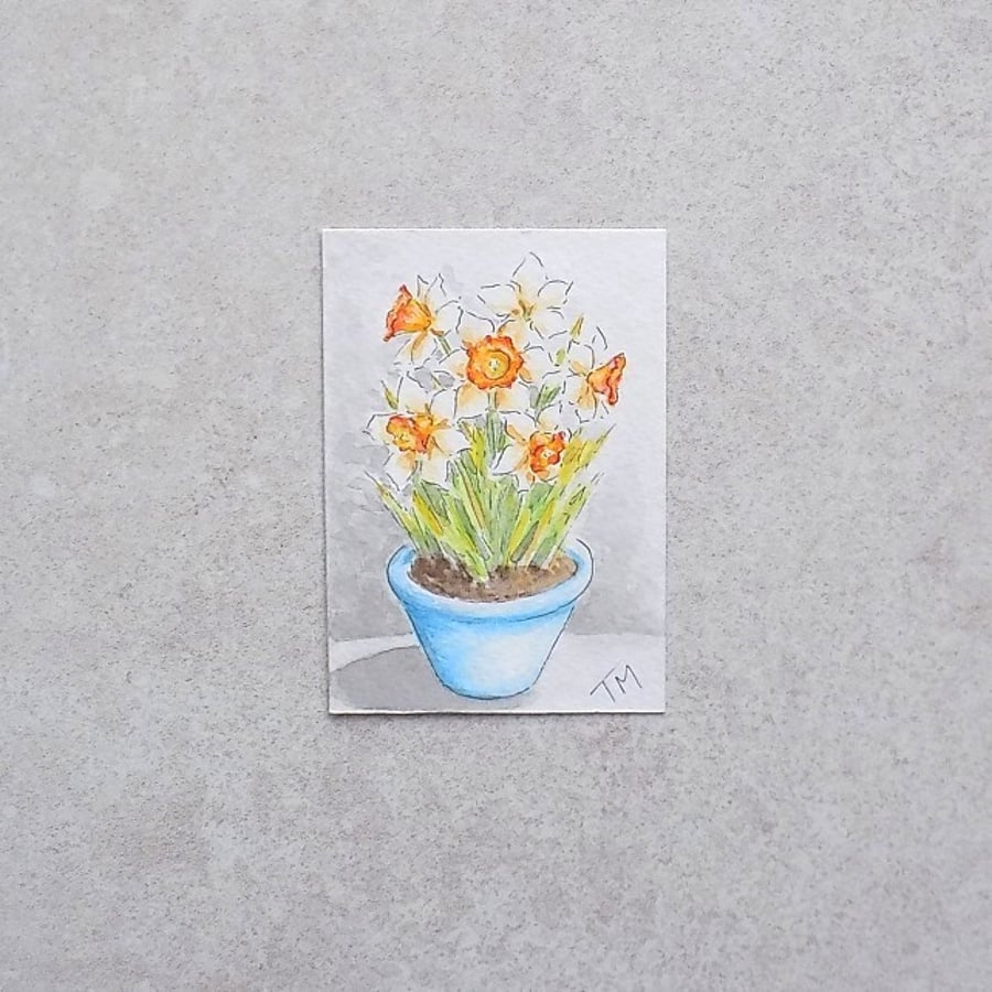 Original Watercolour ACEO 'Pot of Daffodils'