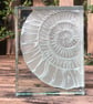 Ammonite Glass Block - Image 4