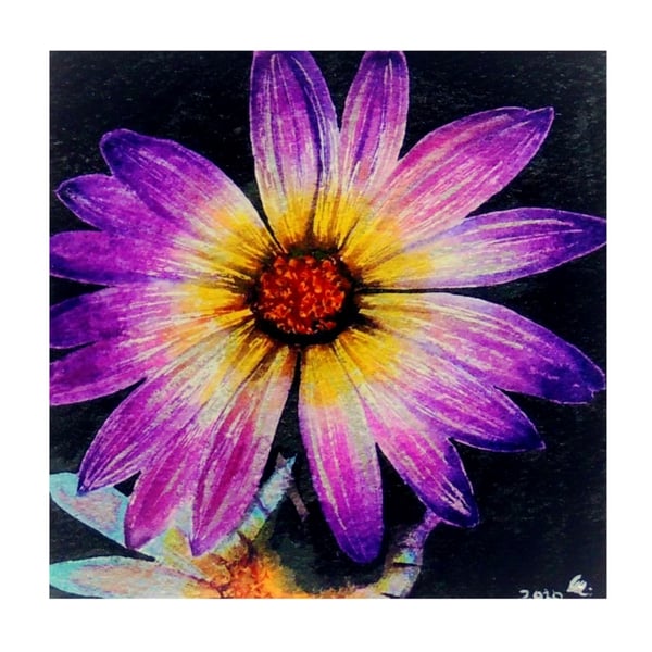  Flower Botanical Watercolour Purople Daisy Small Square Contemporary Art 