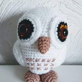 Little owl