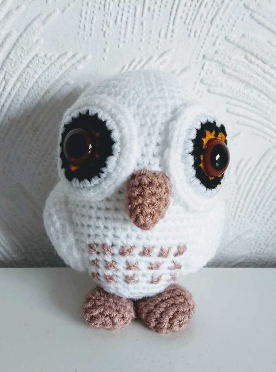 Little owl