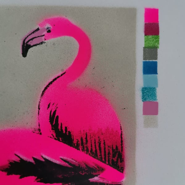 Flamingoes