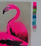Flamingoes