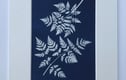 Herb Garden in Cyanotype Collection