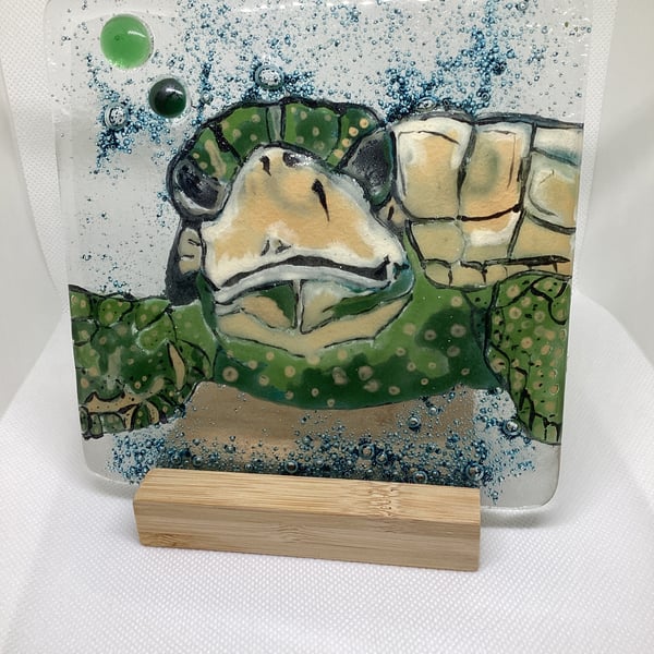 Fused Glass Hand Painted Sea Turtle Art OOAK
