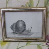 The Paper Snail