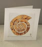 Ammonite print mini cards  - Image 3