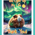 Happy Birthday You Light Up My Life Thank You Guinea Pig Card 
