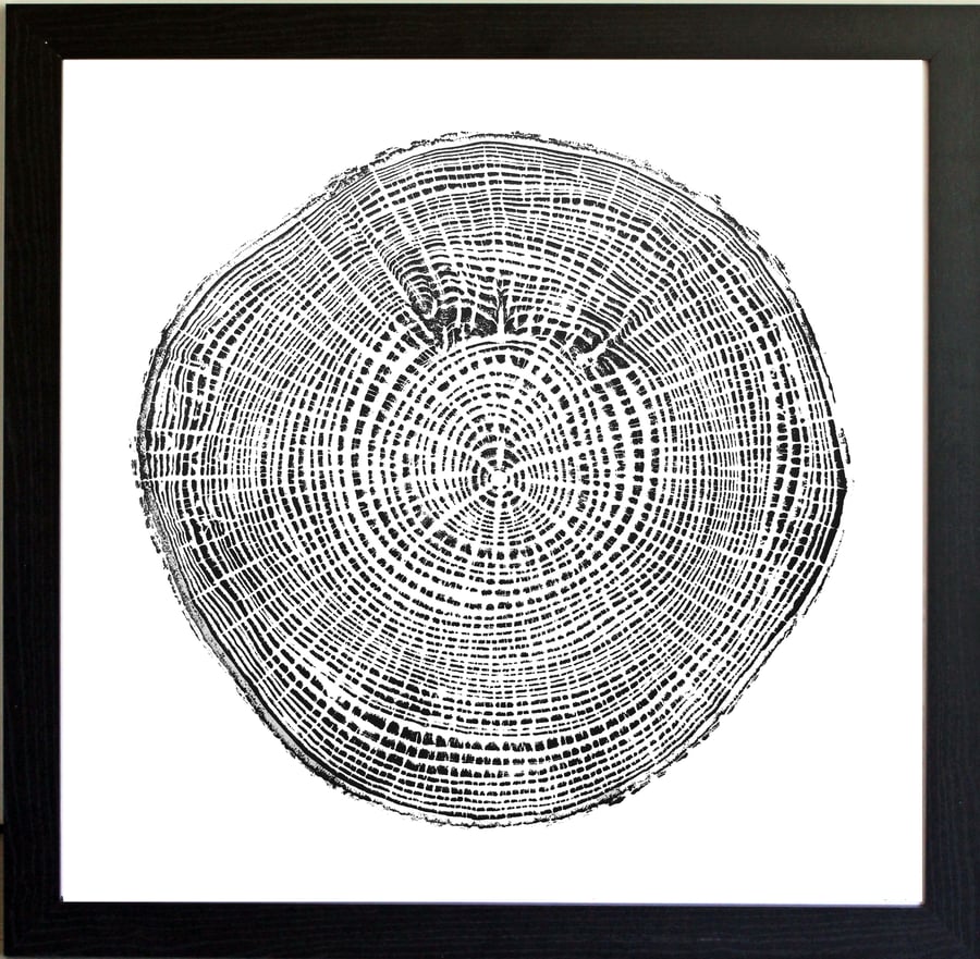 Ash Tree Ring Art Print 50cm diameter in black