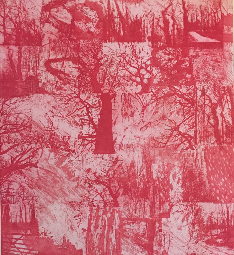 Worsley Woods - large pink etching with aquatint