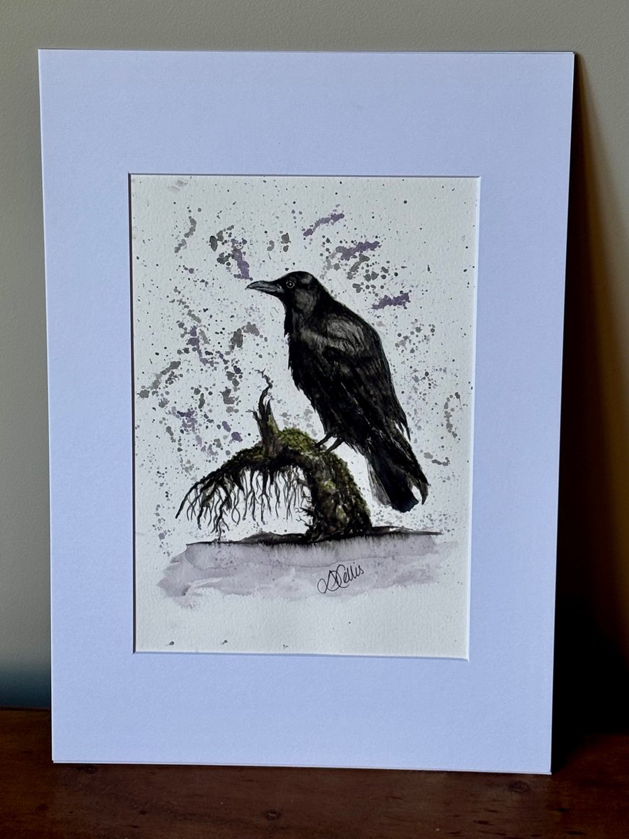 Crow - the quiet contemplation of the crow