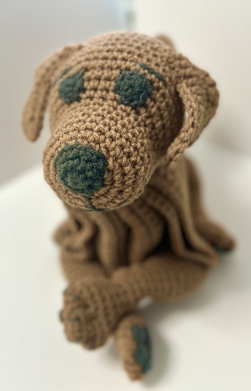 Crochet Cuddle & Play Dog blanket