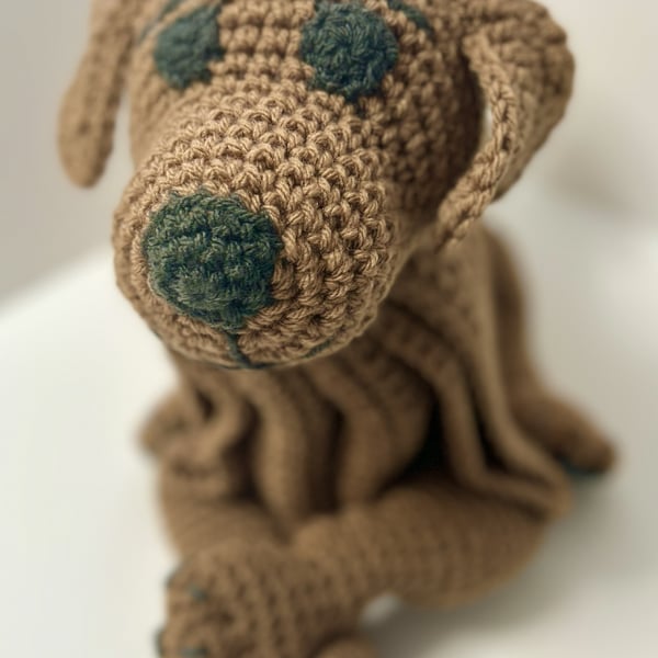 Crochet Cuddle & Play Dog blanket