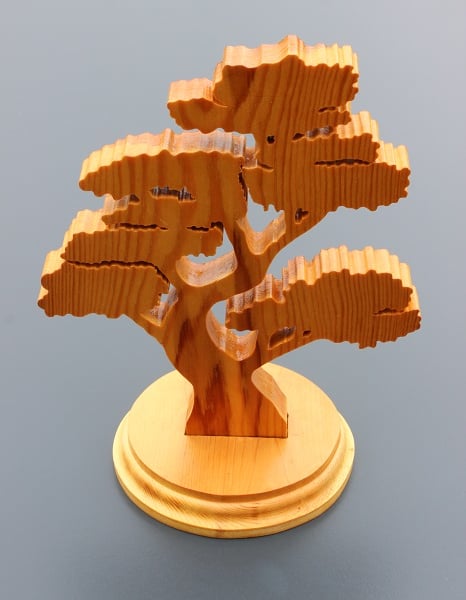 Bonsai Tree (WTO6)