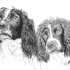 Custom A4 Black Pen Illustration Drawing Portrait of your Pet!