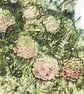 Cornish Hedgerow - Original Collagraph Print - Floral Art - Image 4