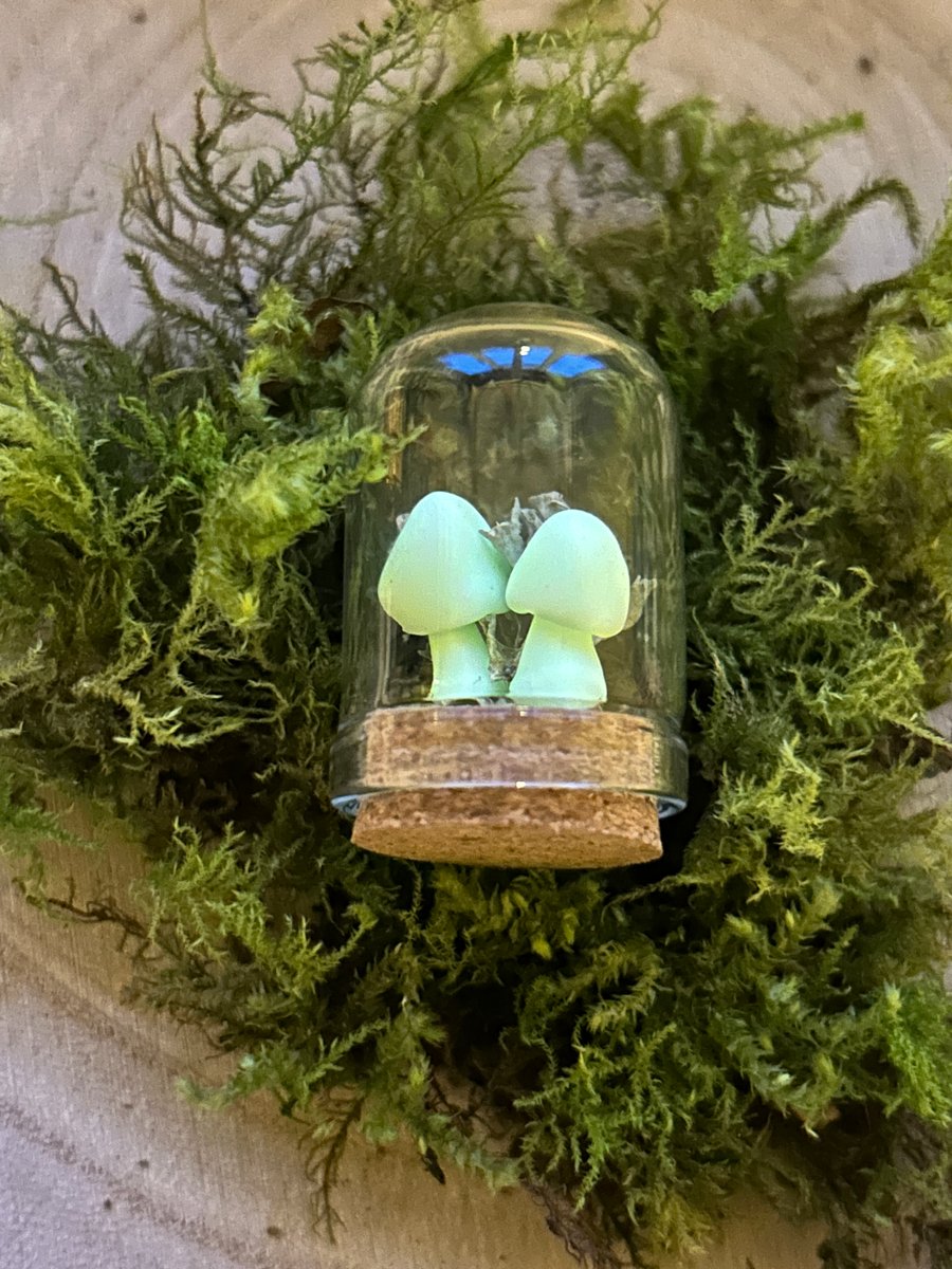 Glowing Mushroom Curio Jar 