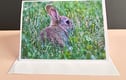 Greetings Cards featuring Wildlife