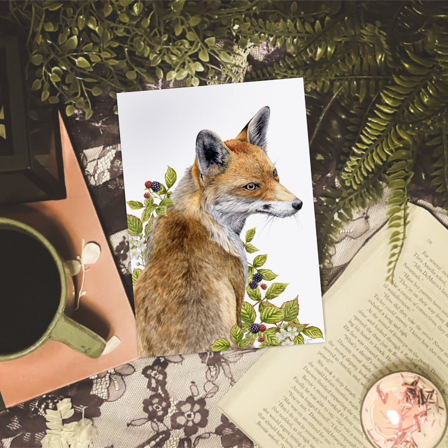 Red Fox Art Print - A5 size - Scottish Wildlife Illustration