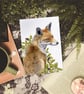 Red Fox Art Print - A5 size - Scottish Wildlife Illustration