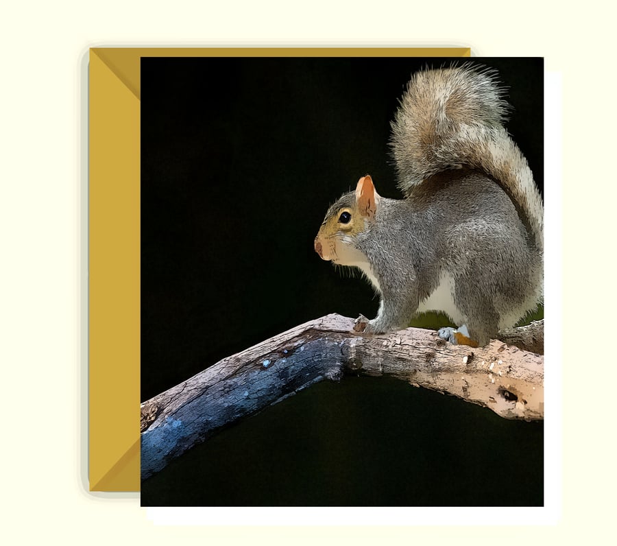 Grey Squirrel Greeting Card